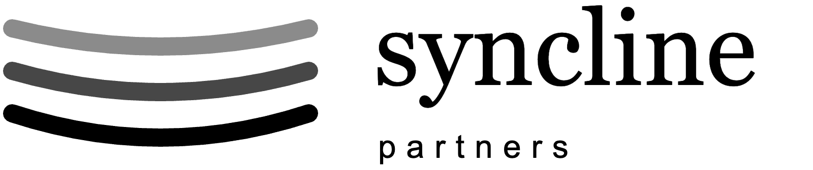 Syncline Partners